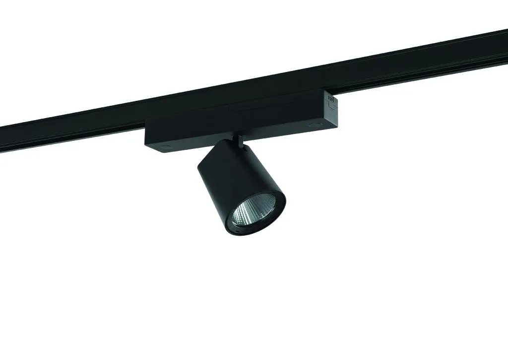 RIDI LEUCHTEN GMBH CIRQUA-L 1X3100-930 F-DA Pic_1