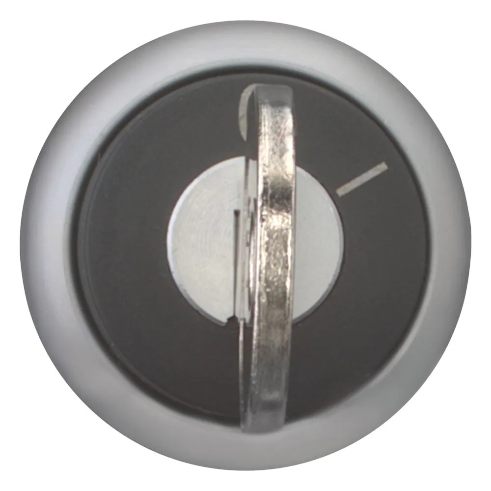 Eaton Electric M22-WRS Pic_1