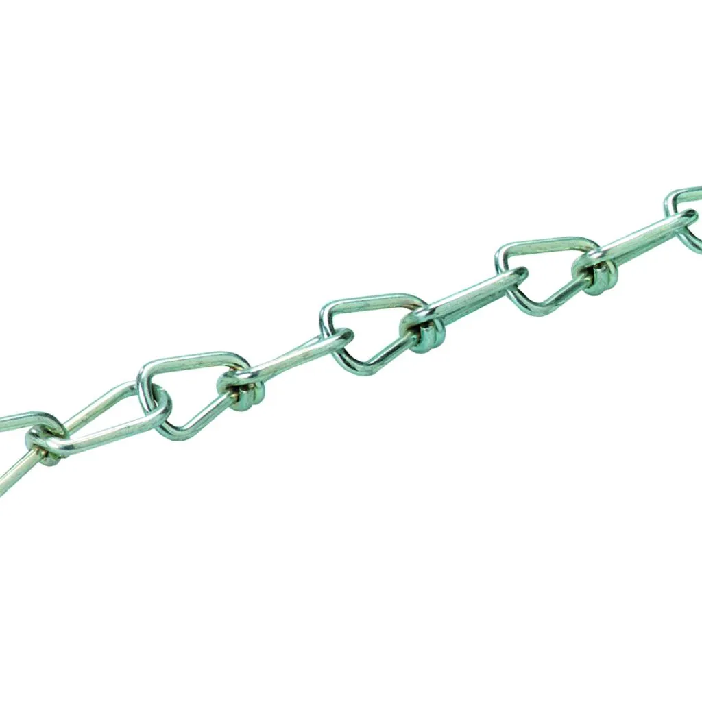 Ridi TRA 008 KETTE GALV. VERZ. Pic_1