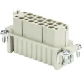 HD BUC    25     25