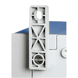 Schneider Electric NSYPFPLMG Pic_1