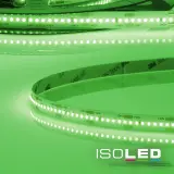 114050
