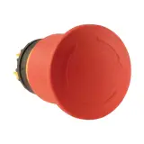 121462