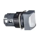 ZB6CF1