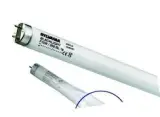 T12 Blacklight Splitterschutz FEP G13 F20W BL368 S