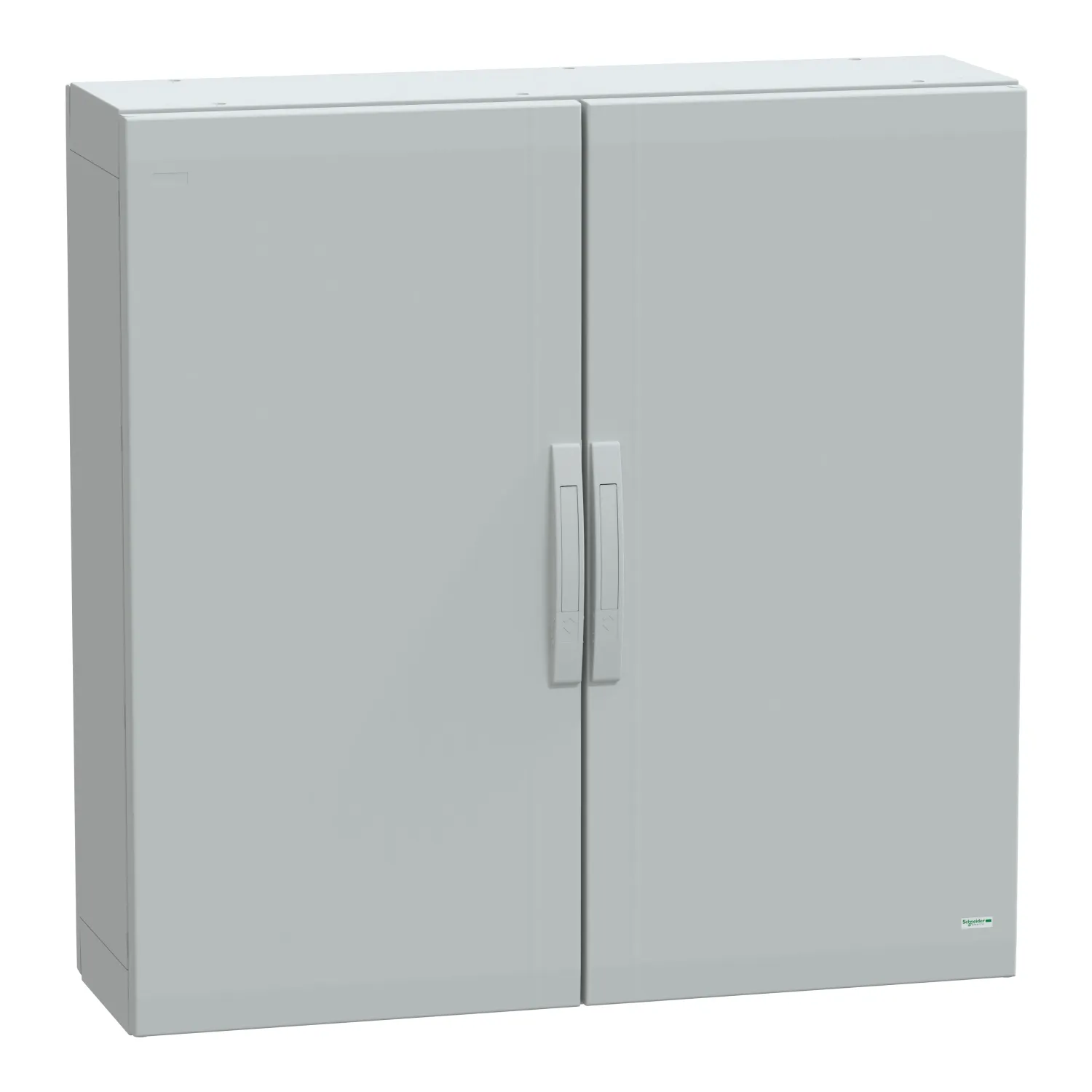 Schneider Electric NSYPLA10103G Pic_1