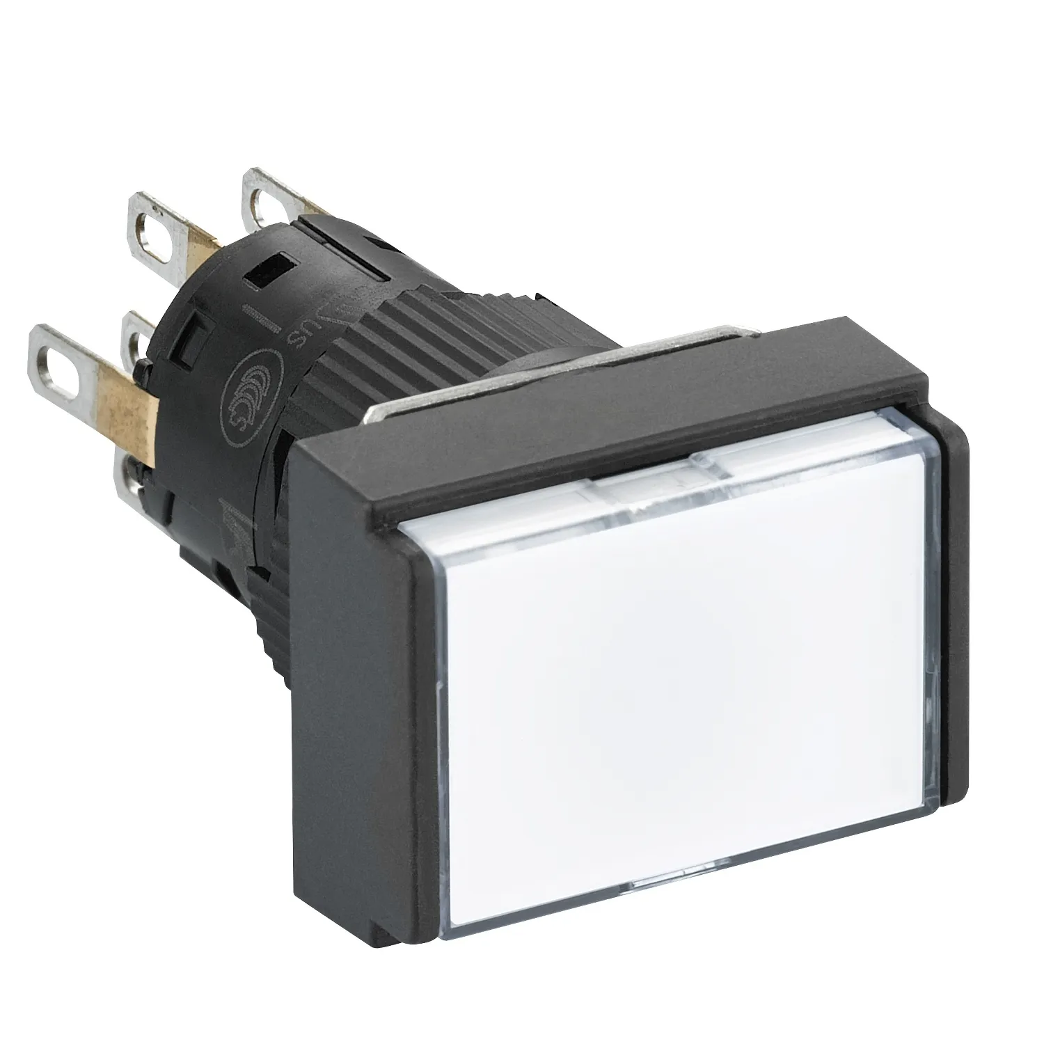Schneider Electric XB6EDW1B2P Pic_1
