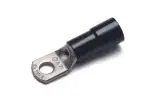 ANE7-M8