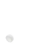 BAM00C2