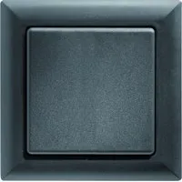 Eltako FT55-an Pic_1