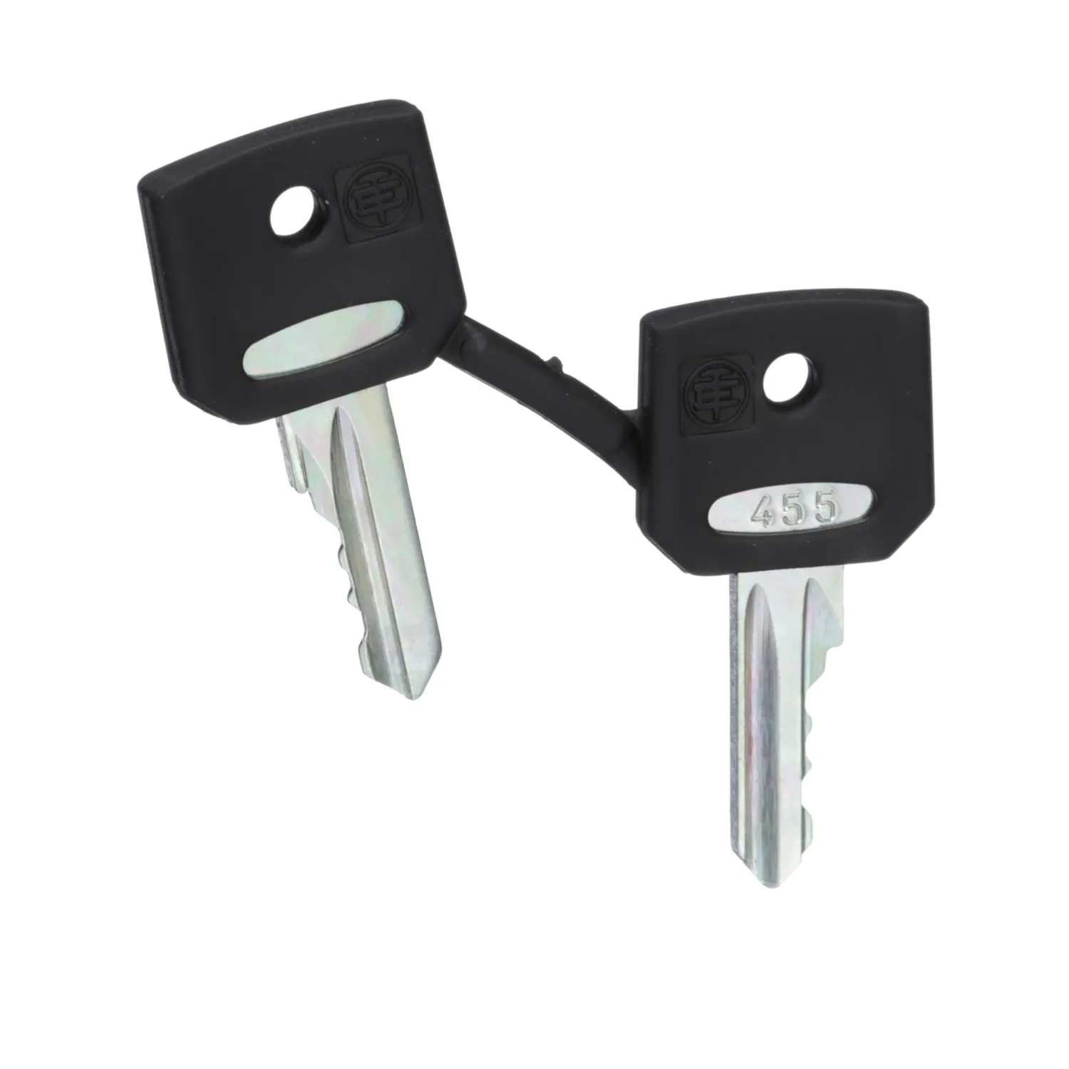 Schneider Electric ZBG455 Pic_1
