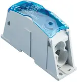 561155