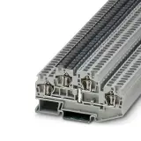3031542
