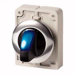 Eaton Electric M30C-FWRLK-B Pic_2