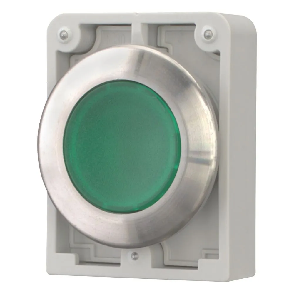 Eaton Electric M30I-FDL-G Pic_2