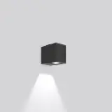 582081.0031