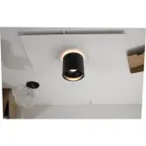12042183
