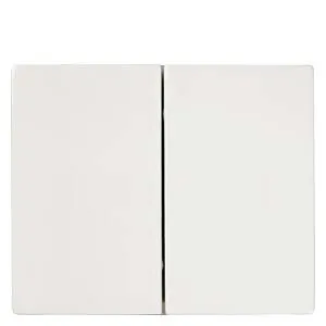 Siemens 5TG5530-4WH Pic_1