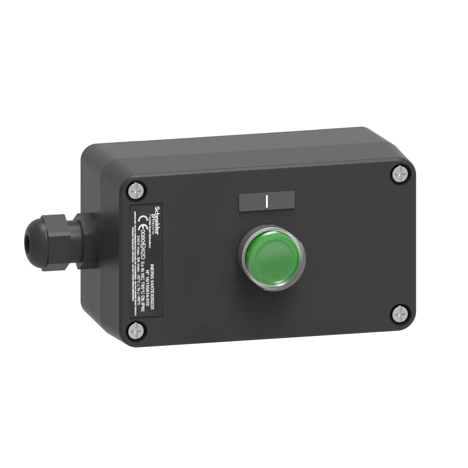 Schneider Electric XAWG100EX Pic_1