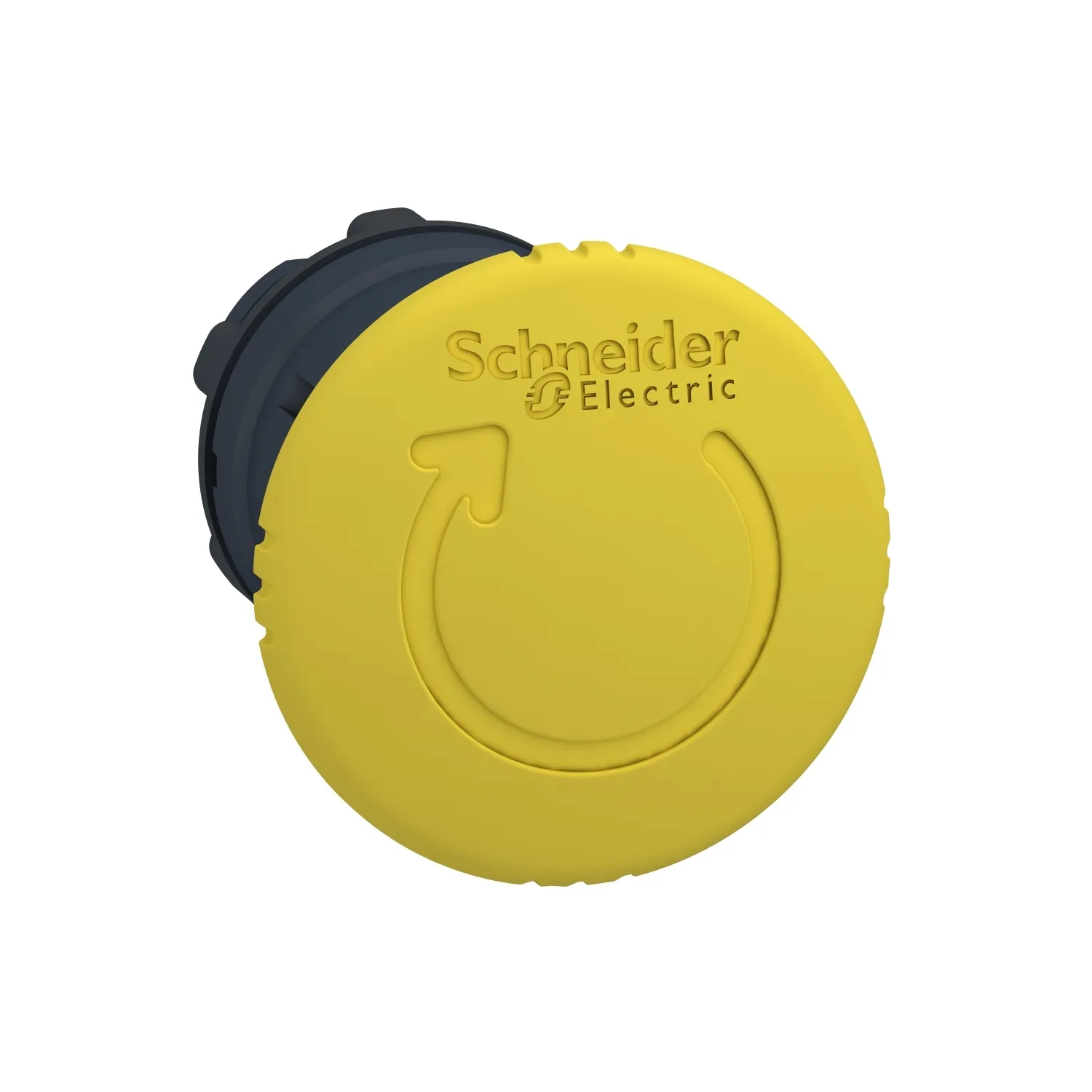 Schneider Electric ZB5AS55 Pic_1