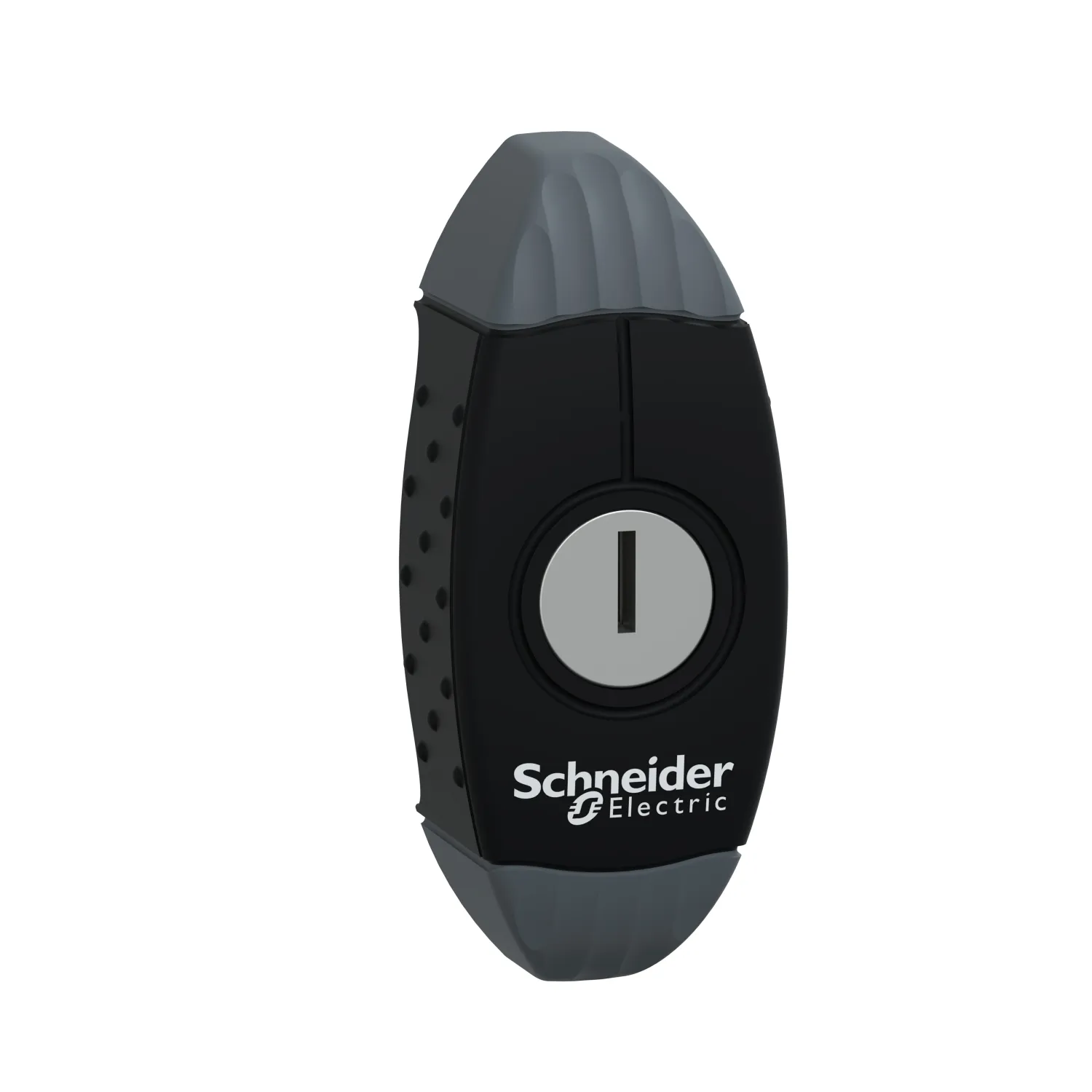 Schneider Electric NSYAEDL421S3D Pic_1