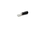 ANE3-M8