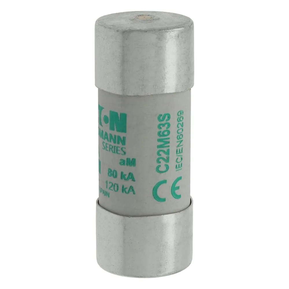 Eaton Electric CYL FUSE >STR >22 x 58 63A AM 690V AC Pic_2