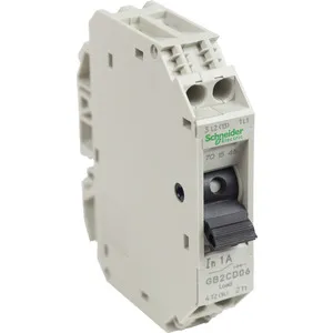 Schneider Electric GB2CD06 Pic_2