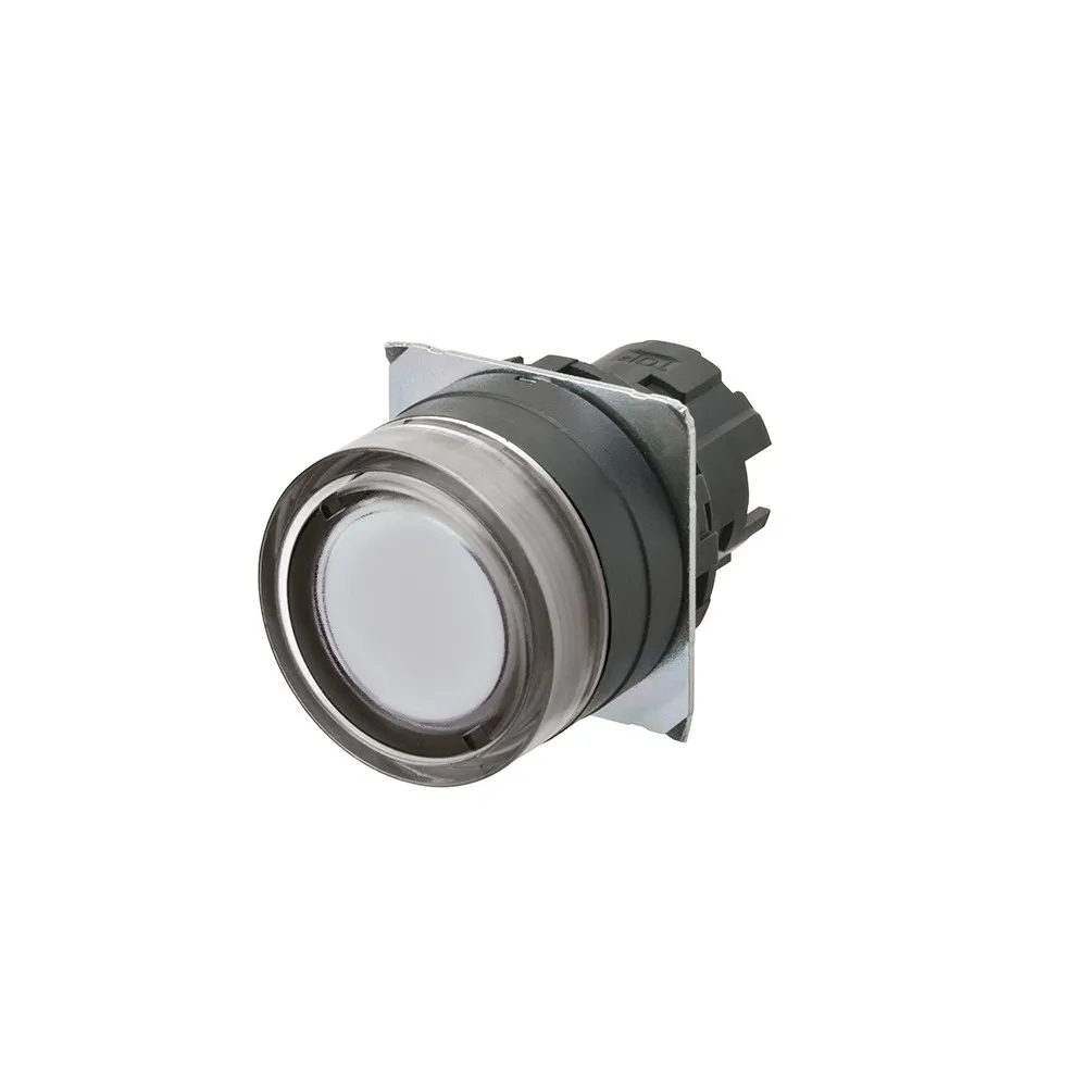 Omron A22NZ-BGM-TWA Pic_1