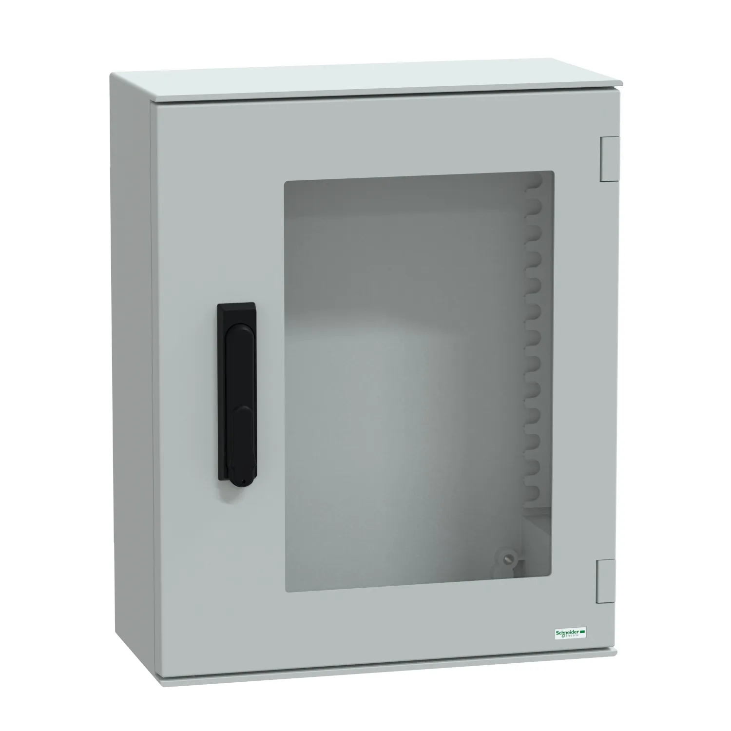 Schneider Electric NSYPLM54TVG Pic_1
