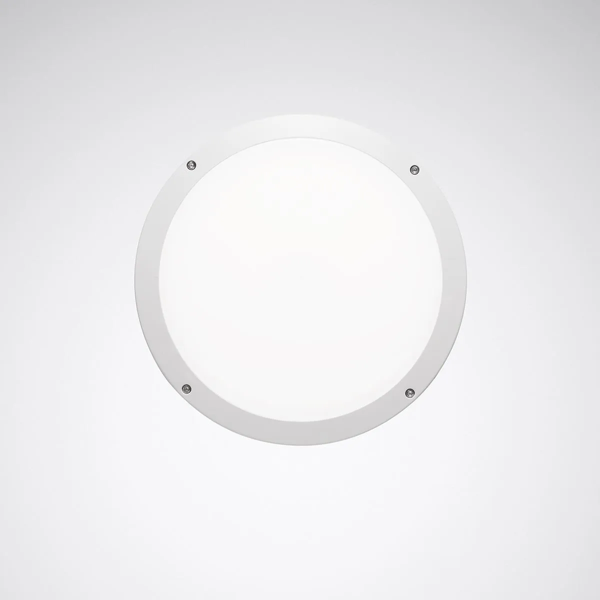Trilux Skeo Circ MultiLC WD2 1G1Y ET E3 Pic_1