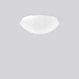 221154.002.1