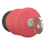 216879