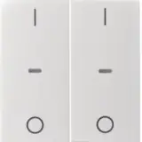 80962382