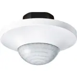 MEG5570-1019