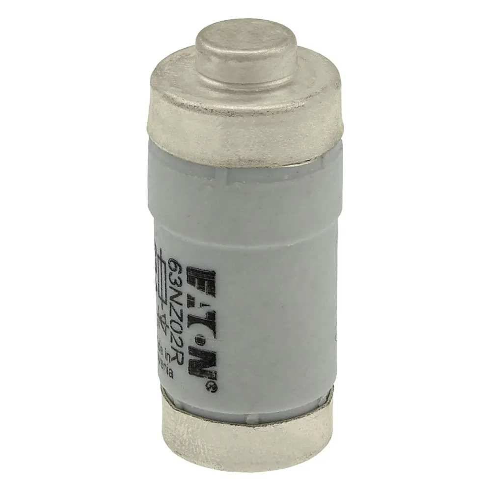 Eaton Electric FUSE-D02 63A GR 400VAC E18 Pic_2