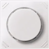 Merten MEG5252-0419 Pic_1