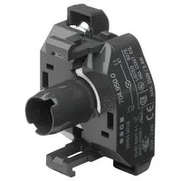 Eao Lumitas 704.950.0 Pic_1