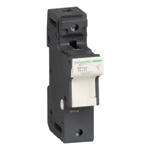 Schneider Electric DF141 Pic_1