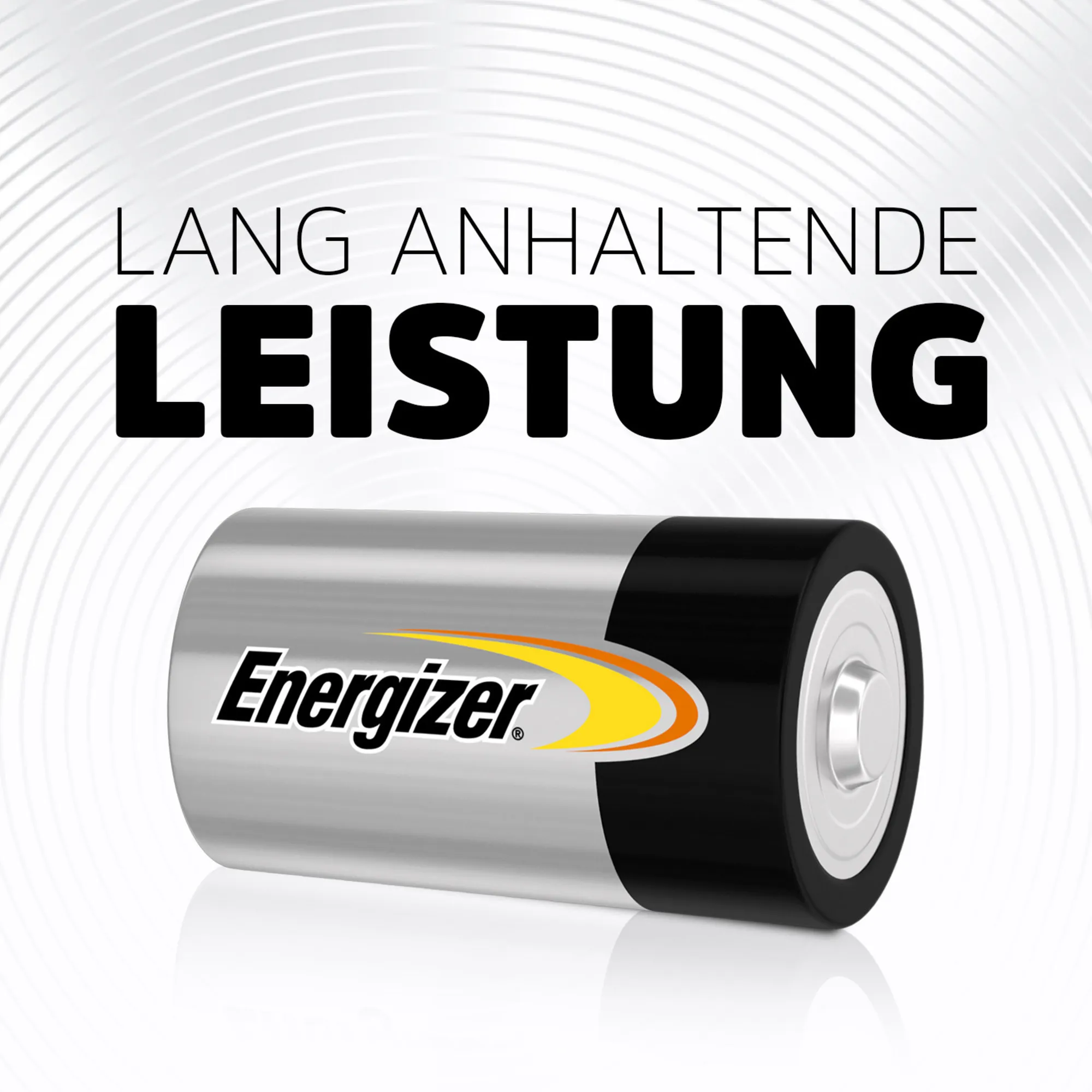 Energizer LR20 Pic_4