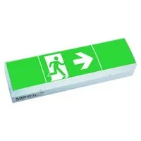 Cooper Safety 58011 1-8h/D LED CGLine+ ISO 7010 Pic_2