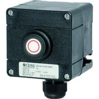 Ceag/cooper GHG 411 8100 R0001 Pic_1