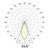 P202402