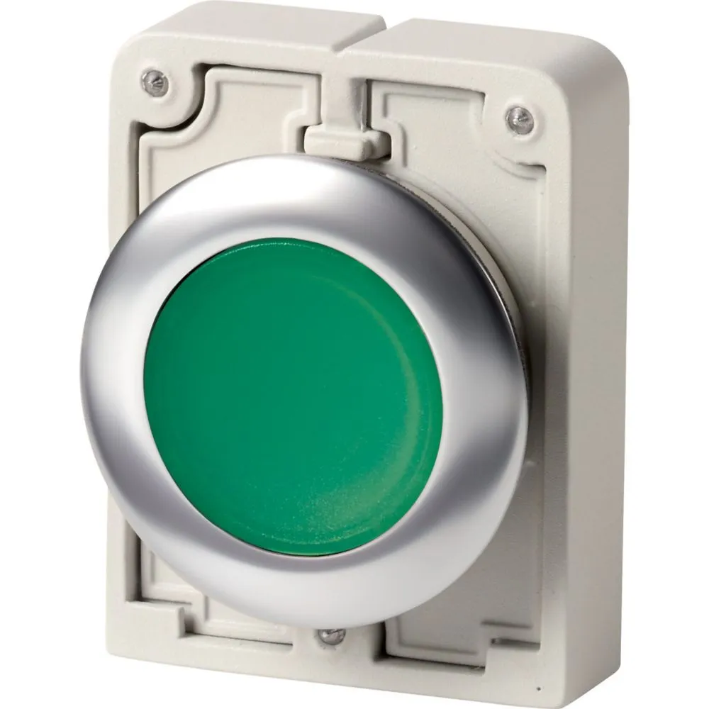 Eaton Electric M30I-FDRL-G Pic_1