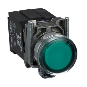 Schneider Electric XB4BW3345 Pic_2