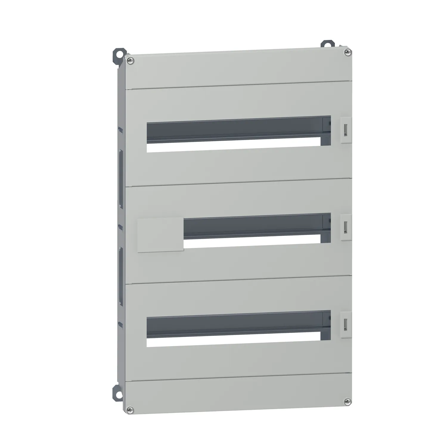 Schneider Electric NSYDLM48P Pic_1