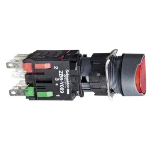Schneider Electric XB6AW4B5B Pic_1
