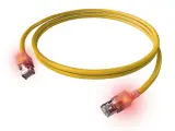 CS1OYCDCD0010