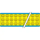 244825