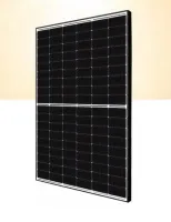 Canadian Solar EMEA GmbH CS6R-MS/BF/410W/T6/1100mm Pic_2